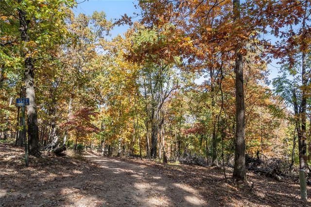 Tract 5 CR 156, Eureka Springs, AR 72632