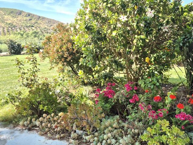 42028 Village 42, Camarillo, CA 93012