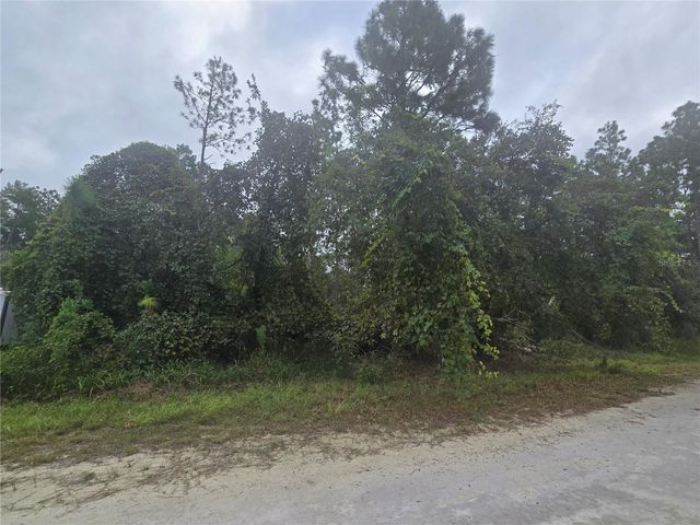 ENGLISH SPARROW ROAD, Weeki Wachee, FL 34614