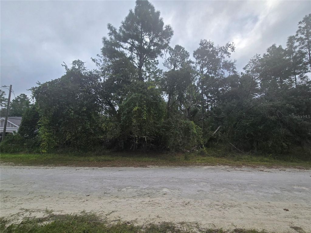 ENGLISH SPARROW ROAD, Weeki Wachee, FL 34614