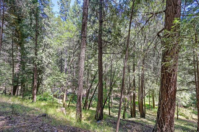 4599 Rivendale Rd, Placerville, CA 95709