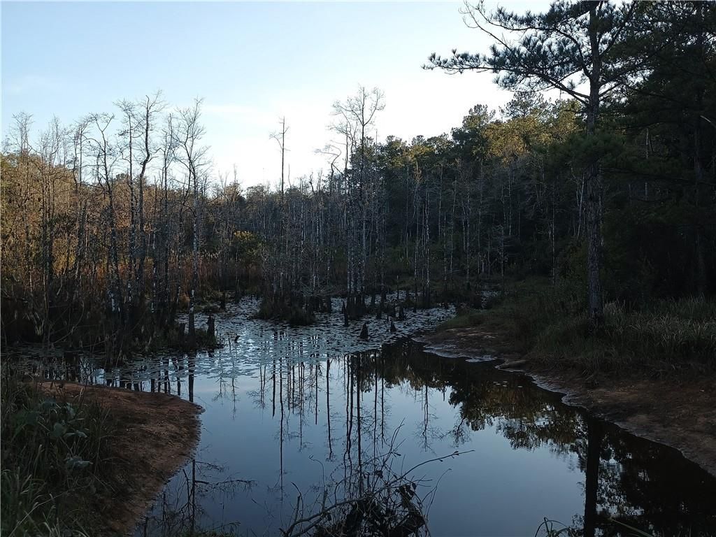 7501 Monroe Lane, Eight Mile, AL 36613 — photo 2