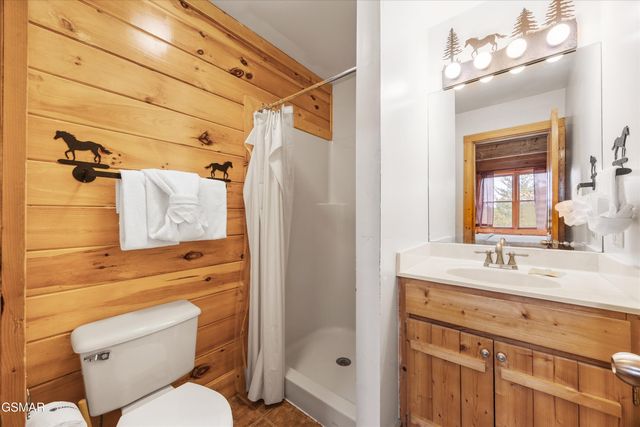 2818 Seth Road, Pigeon Forge, TN 37863