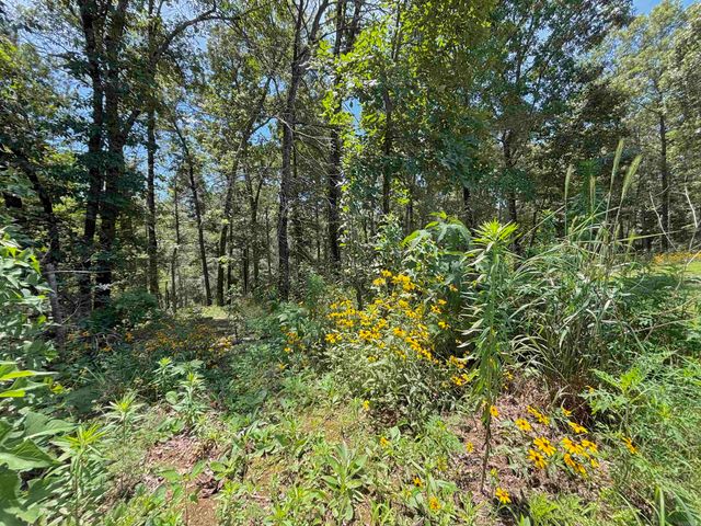 552 HWY 225 E, Greenbrier, AR 72058