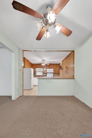 302 Jo Cyn Drive, Glencoe, AL 35905