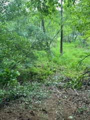 Lot 77 North Church DR, Hardy, VA 24101