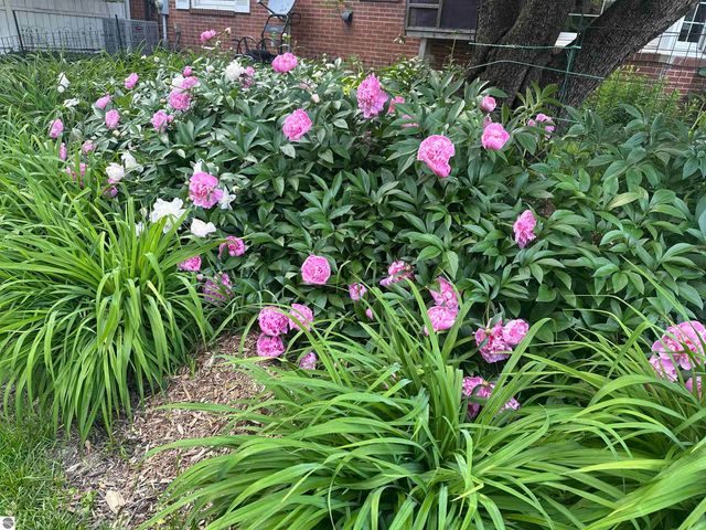 1054 E Maple, Mt Pleasant, MI 48858