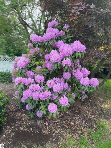 1054 E Maple, Mt Pleasant, MI 48858