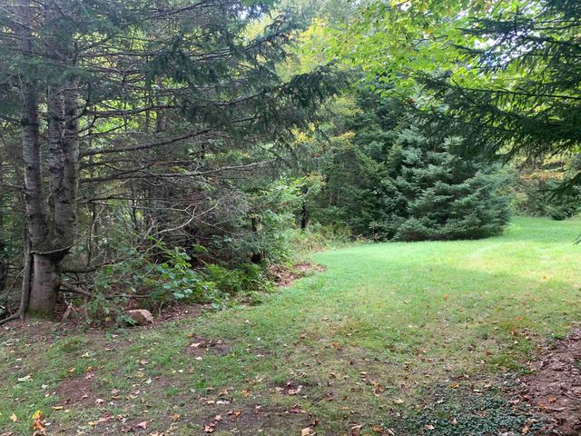 00 Bog Branch Road, Clarksville, NH 03592