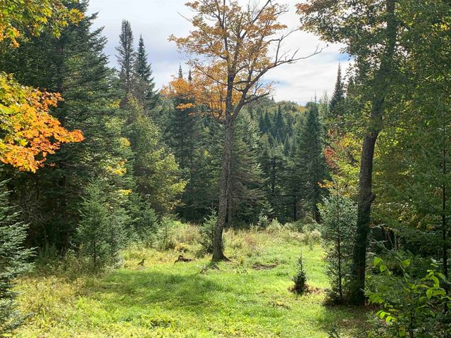 00 Bog Branch Road, Clarksville, NH 03592