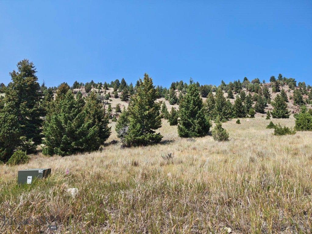 985 Tenderfoot Trail, Ramsay, MT 59748 photo 1