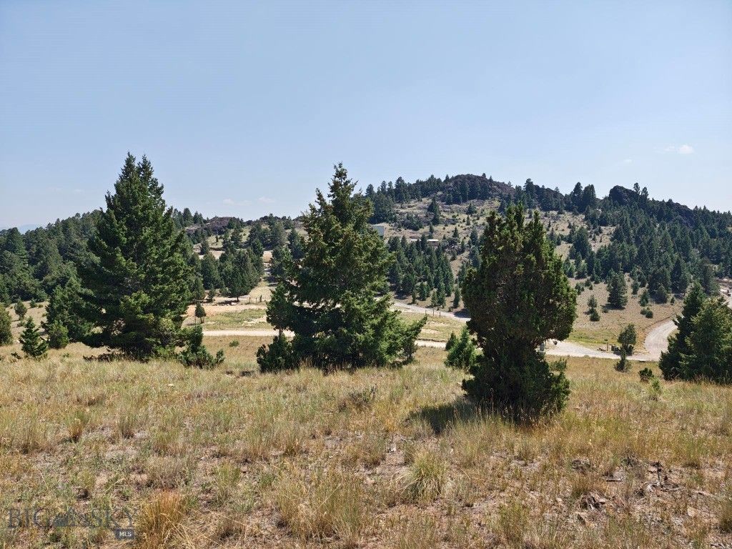 985 Tenderfoot Trail, Ramsay, MT 59748 photo 3
