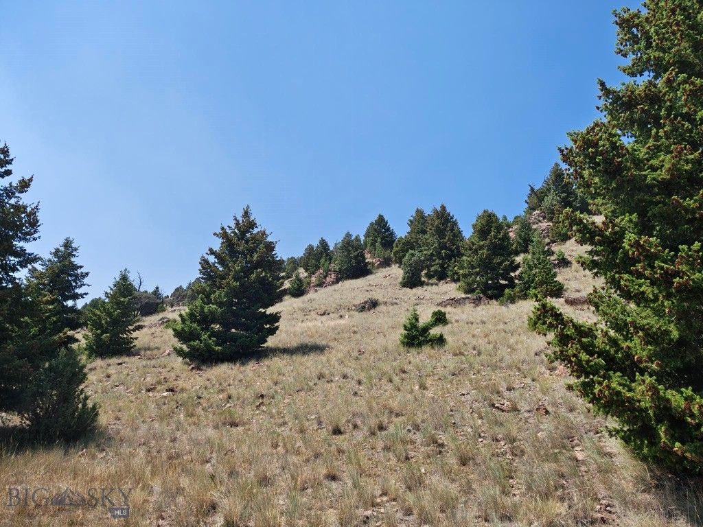 985 Tenderfoot Trail, Ramsay, MT 59748 photo 4