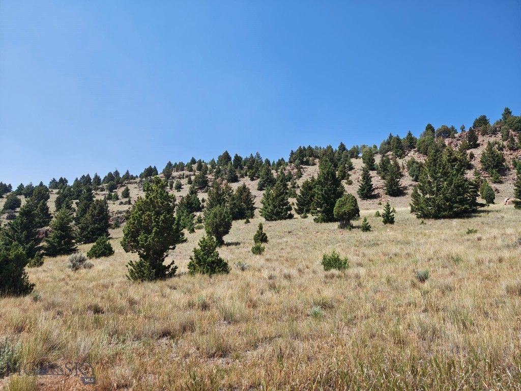 985 Tenderfoot Trail, Ramsay, MT 59748 photo 5