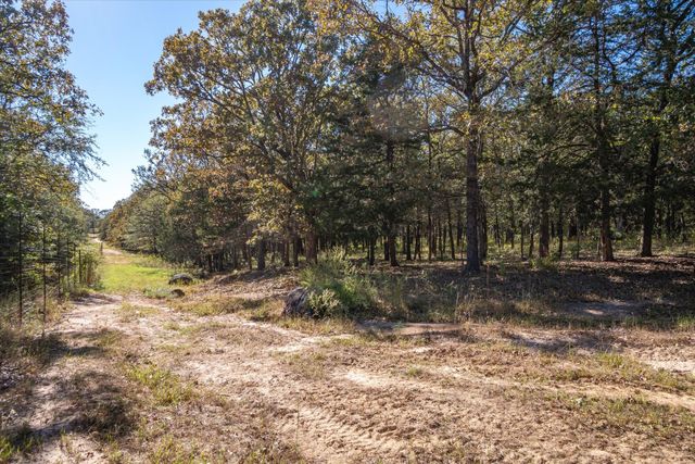 Tract 21 VZCR 3108, Edgewood, TX 75117