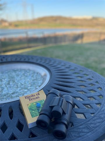 15108 Wild Duck Way, Fort Worth, TX 76262