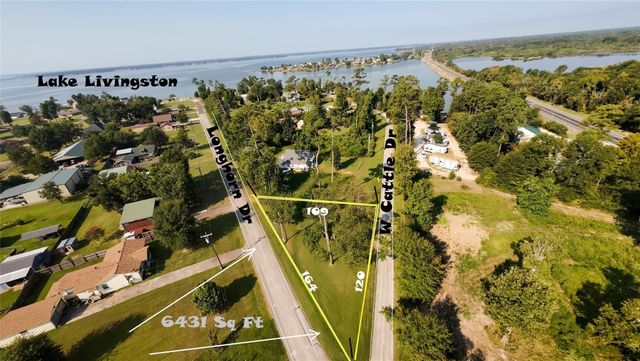 186 N Cattle Drive, Onalaska, TX 77360
