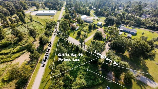 186 N Cattle Drive, Onalaska, TX 77360