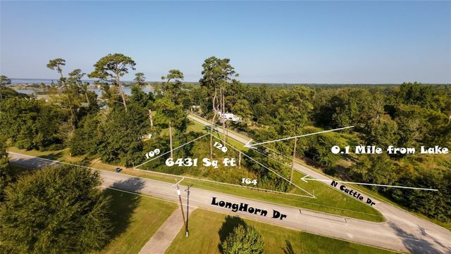 186 N Cattle Drive, Onalaska, TX 77360