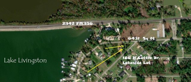 186 N Cattle Drive, Onalaska, TX 77360