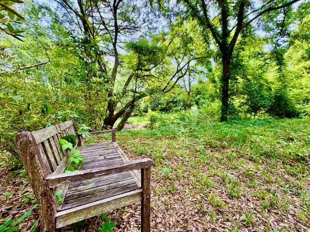 2069 Saint James Drive, Charleston, SC 29412