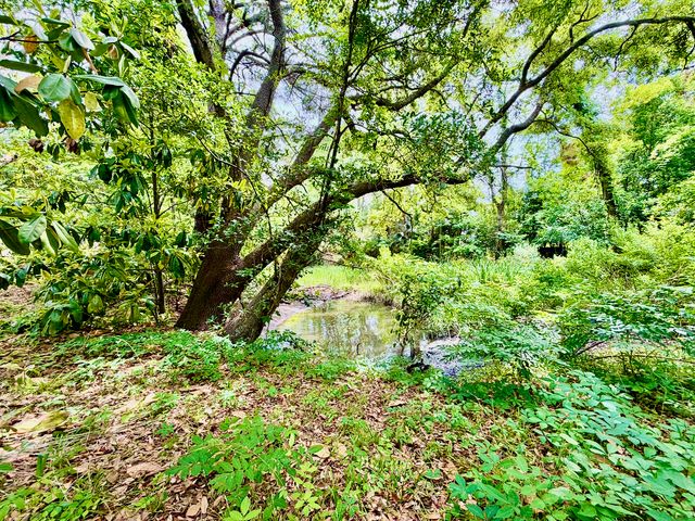 2069 Saint James Drive, Charleston, SC 29412