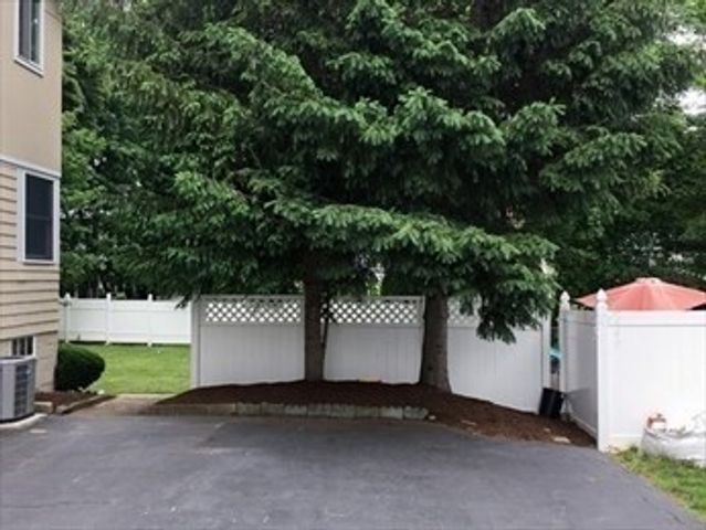 22 Harrington St 2, Newton, MA 02460