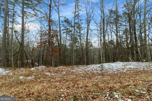 LOT 5 Curtis Ridge Road 5, Blue Ridge, GA 30513
