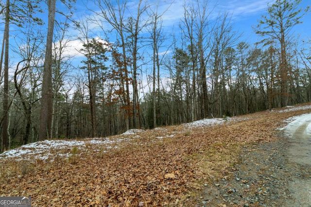 LOT 5 Curtis Ridge Road 5, Blue Ridge, GA 30513