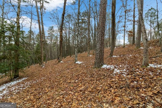 LOT 5 Curtis Ridge Road 5, Blue Ridge, GA 30513