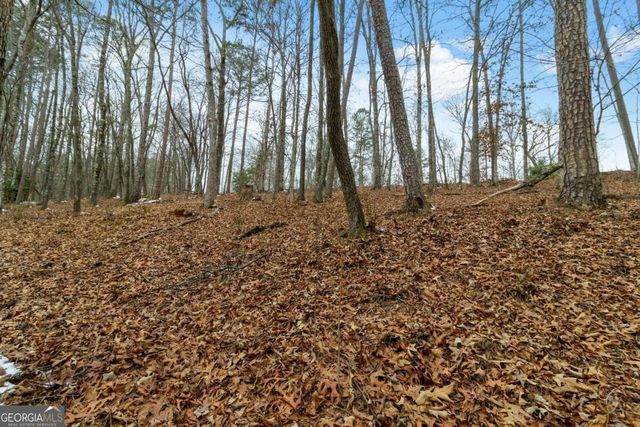 LOT 5 Curtis Ridge Road 5, Blue Ridge, GA 30513