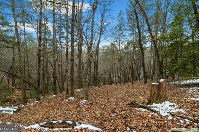 LOT 5 Curtis Ridge Road 5, Blue Ridge, GA 30513