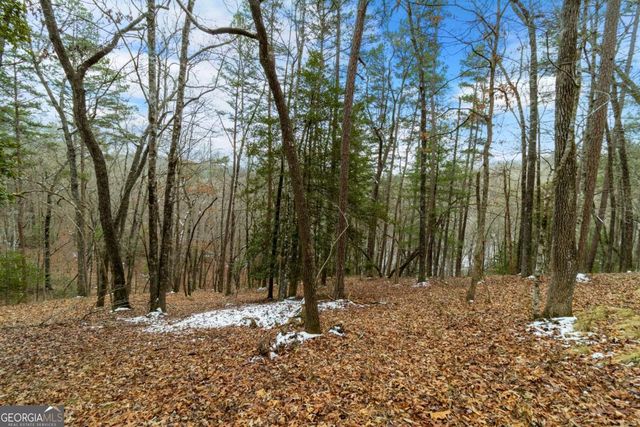 LOT 5 Curtis Ridge Road 5, Blue Ridge, GA 30513