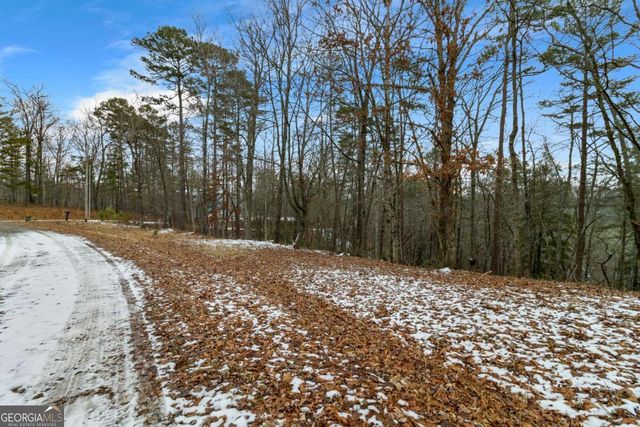 LOT 5 Curtis Ridge Road 5, Blue Ridge, GA 30513