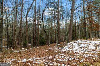 LOT 5 Curtis Ridge Road 5, Blue Ridge, GA 30513