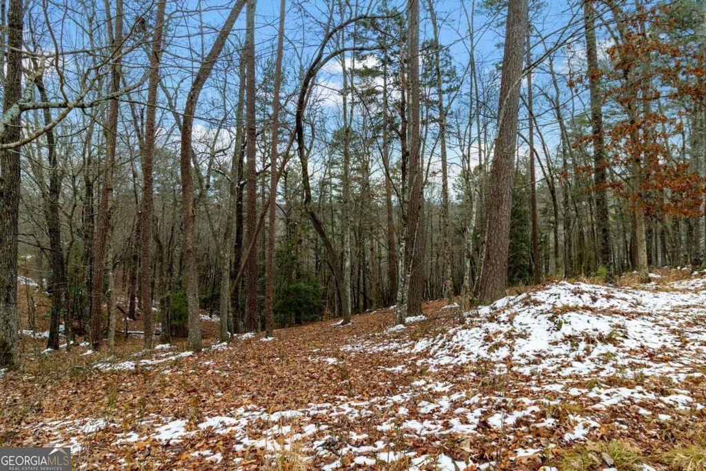 LOT 5 Curtis Ridge Road 5, Blue Ridge, GA 30513