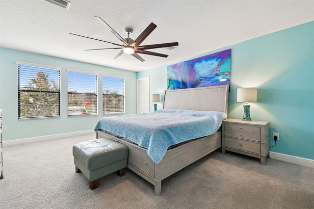 18779 DEER TRACKS LOOP, Lutz, FL 33558