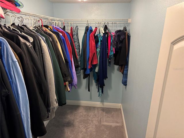 18779 DEER TRACKS LOOP, Lutz, FL 33558