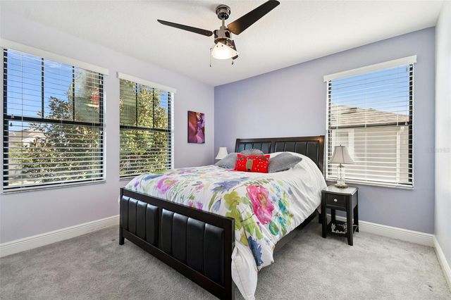 18779 DEER TRACKS LOOP, Lutz, FL 33558