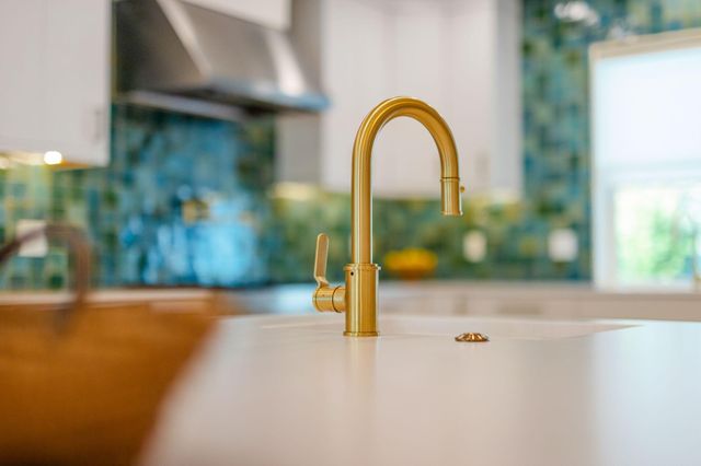 169 Walton Buena Vista Drive, Inlet Beach, FL 32461