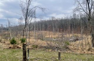 0 Jackson Point Rd, Sewanee, TN 37375