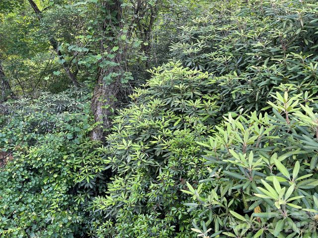 Lot 45 Abby Falls Drive, Rosman, NC 28772