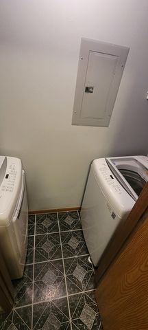 1384 CUNAT Court 2A, Lake In The Hills, IL 60156