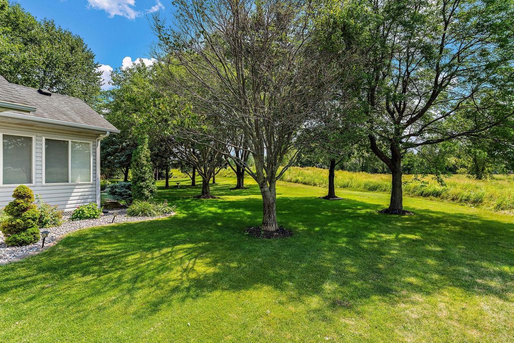 9013 Indian Boulevard S, Cottage Grove, MN 55016 — photo 5