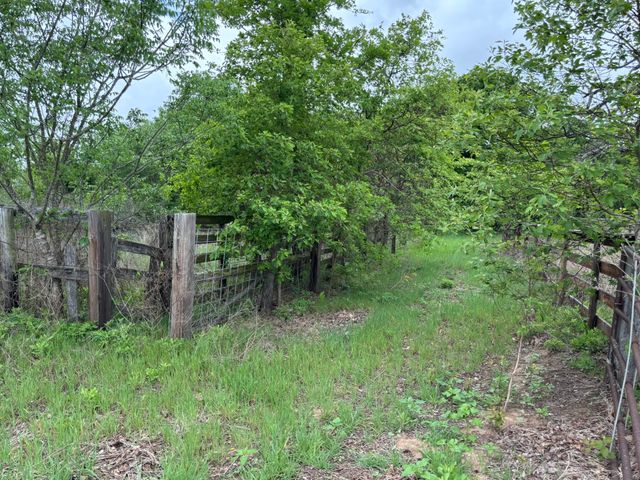 14070 County Road 3520, Brownsboro, TX 75756