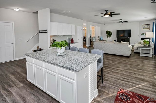 932 Trident Maple Lane, Chapin, SC 29036