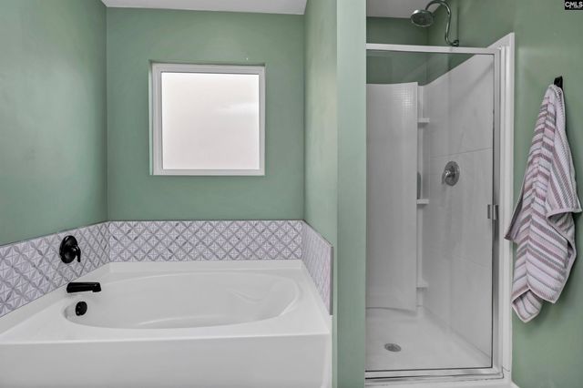 932 Trident Maple Lane, Chapin, SC 29036