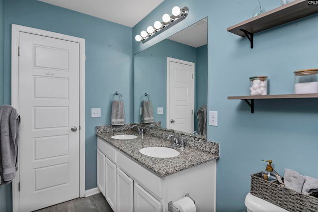 932 Trident Maple Lane, Chapin, SC 29036