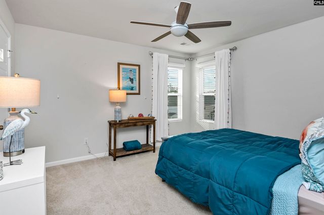 932 Trident Maple Lane, Chapin, SC 29036