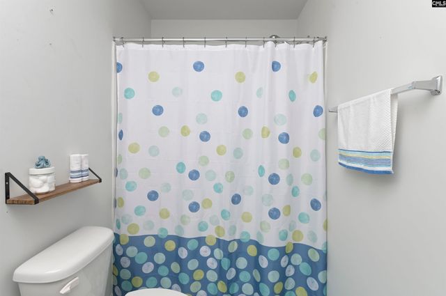 932 Trident Maple Lane, Chapin, SC 29036